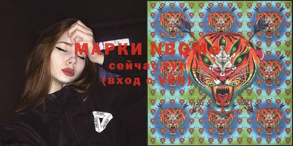 стафф Володарск
