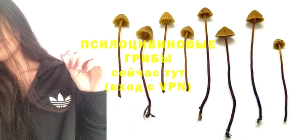 стафф Володарск