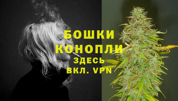 стафф Володарск