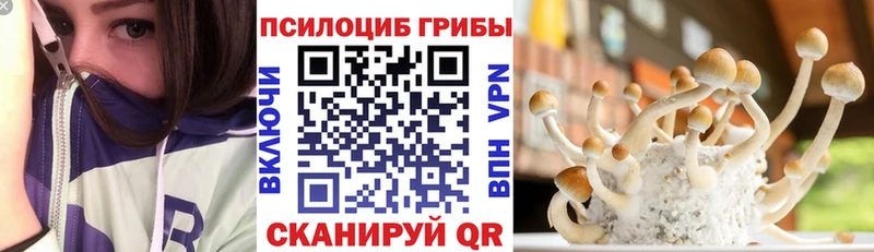 дарк нет официальный сайт  Пестово  Псилоцибиновые грибы Psilocybe 